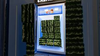 The Concept Of Square Watermelon
