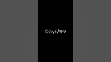 سورة المسد شاشة سوداء للشيخ فارس عباد ❤️❤️