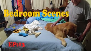 Bedroom Scene #3 #goldenretriever  #puppy by In Memory of Cary Gamble. 63 views 11 months ago 8 minutes, 43 seconds