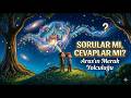Sorular mı Yoksa Cevaplar mı Daha Değerli? | Aras’ın Merak Yolculuğu
