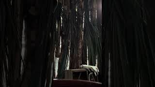 Quin diría que en la sierra de Gto se podría dar un baño de tina bien caliente ! Que cosas