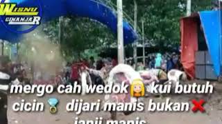 Story wa menang keri versi jaranan