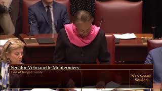 Senator Montgomery's "Waterfront Bill' Passes Senate (S745A)