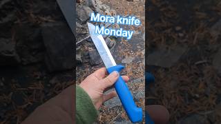 Frosts 1040S-P fish knife, #bushcraftknife #moraknifemonday #edc #outdoors #huntingknife #morakniv