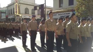 Reed NJROTC veteran's day parade 2016
