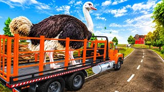 Animal Cargo Truck Driving Game 3D - Animal Transport Cargo Truck 2024 - Android Gameplay screenshot 5