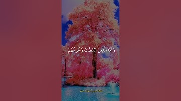 قرآن كريم سورة آل عمران بصوت الشيخ عبدالله الموسى #قرآن #قران_كريم #duet #video #اكسبلور #دويتو