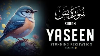 Surah Yasin(Yaseen)| Full With Arabic | epi 0077 | Beautiful recitation |یس سورہ 36| zikrullah tv1