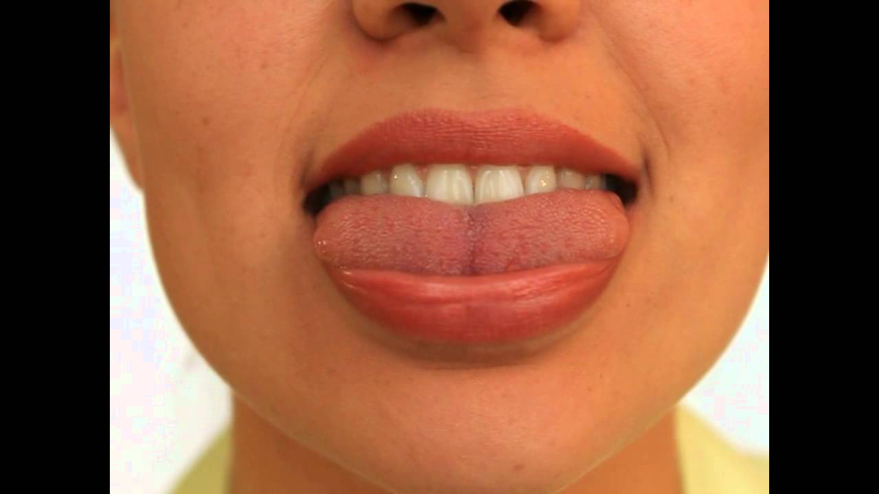 Язык гармошкой картинки