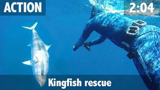 Kingfish Rescue screenshot 2
