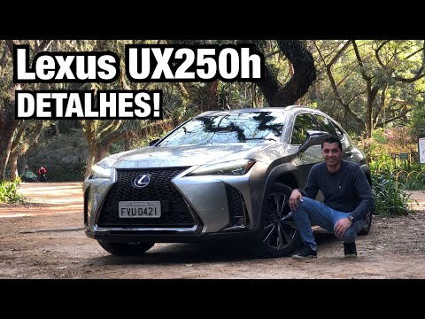 Vídeo do Ux250h Luxury 2.0 2021