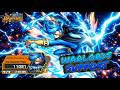 【He’s Back to Cook Again】Niji with Warlords Support Gameplay | OPBR