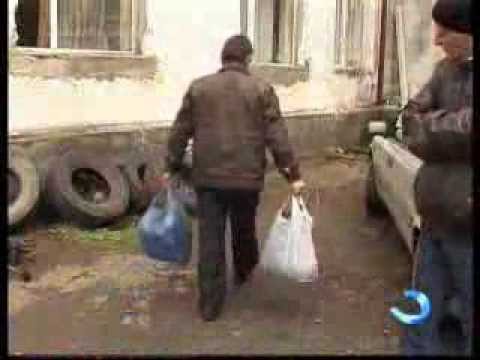 ფერმერებს ამერიკული ლურჯი მოცვის ნერგები გადაეცემათ