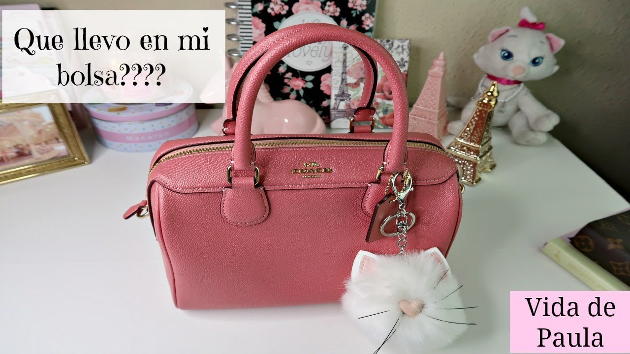 Que llevo en mi bolsa de Coach????