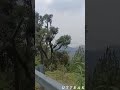 14 Nali on road नकुचियताल, residential land for sale Uttarakhand