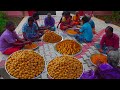 4000 LADDU | Diwali Sweets Recipe | Boondi Laddu Making in Village | Indian Dessert Recipes