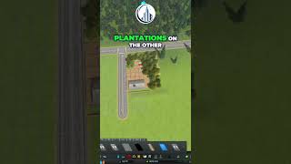 Great Basic Setup For Forestry Industry In Cities Skylines