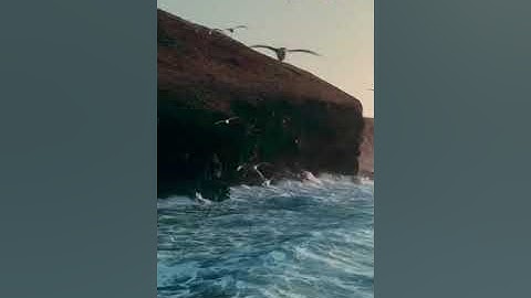 مقتطفات من سورة فاطر بصوت القارئ: أحمد عنيزات