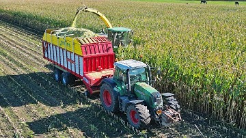 Mais Hakselen 2025 | John Deere 7400 + Fendt