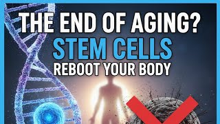 The End of Aging? How Stem Cells Could "Reboot" Your Body