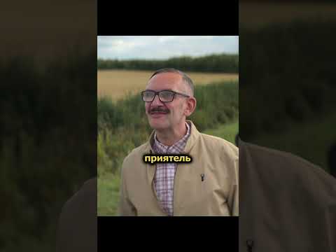 Дэвид просто прикалывался #shorts #short #brassic #голяк #кино #фильм #фильмы #сериал #моменты #топ