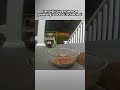 Sneaky Raccoon Steals Cat Food
