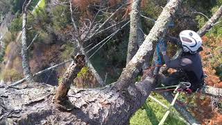 Famous What do you want to see? Net Worth