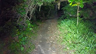 Live Misteri‼️MISTERI HUTAN 230 KM SANCANG GARUT