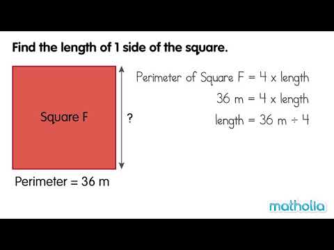 Perimeter and Length