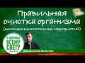 Правильная очистка организма (комплекс очистительных мероприятий). Захар Белинский (Арирадъ)