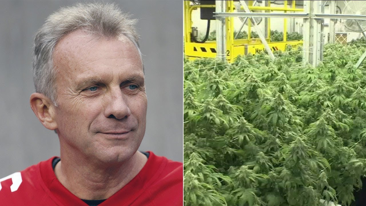 San Francisco 49ers legend Joe Montana is getting into the marijuana business