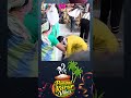 வாத்துபிடித்தல் பொங்கல்நாளில் வித்யாசமானபோட்டி வைத்து அசத்தல் | PONGAL DUCK GAME #karur #pongal2026
