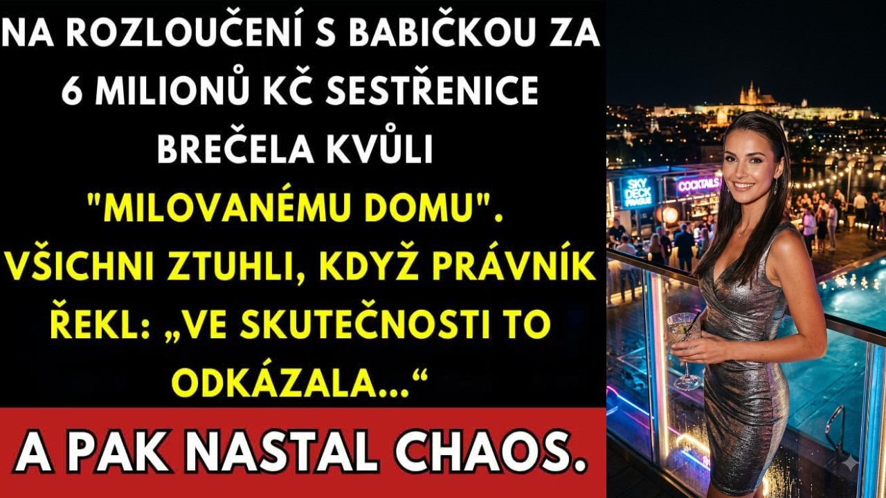 Zrovna jsem si myslela, že pohřeb mé babičky je jen smutná tečka za pěti lety ticha, když advokát otevřel závěť a místností to prásklo. Dům na Javorové 14, celý majetek, odkázáno mně. Moje...