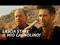 Lo stallo alla messicana più pazzo di sempre | 7 Psicopatici CLIP