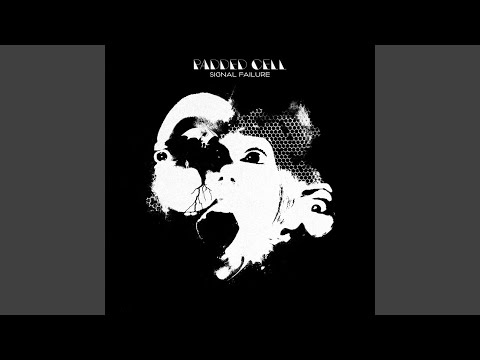 Padded Cell — Unknown Zone
