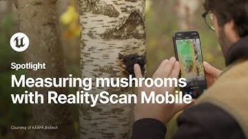 Bringing accuracy to mushroom measuring with RealityScan Mobile