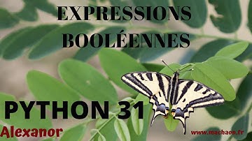 Programmation Python #31 - différentes formes d