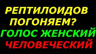 Изъявление воли во вселенную. Женский человеческий голос