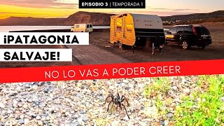 😱¡Patagonia salvaje en Casa Rodante!🐋 No lo vas a poder creer 🤯 E3 T1 'Liberen a Willy' ⏹️▶️ by Un Viaje De Película - Caro & Fran 3,627 views 1 year ago 11 minutes, 14 seconds