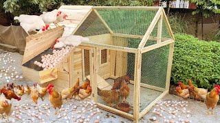 Process of making a wooden chicken coop - Chickens lay eggs on the roof - chicken farm