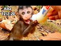 Daily Feeding For Poor Baby Alba To Encourage Her Weight |Thank For Banana To Provide Poor Baby Alba