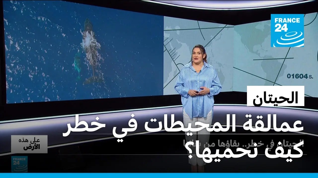 ������� �� ���.. ������ �� ������! � ����� 24 / FRANCE 24
 - نشر قبل 30 دقيقة