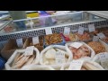 Цены на Новом рынке  Одессы. Рыбный ряд. Истинные одесситы -2016
