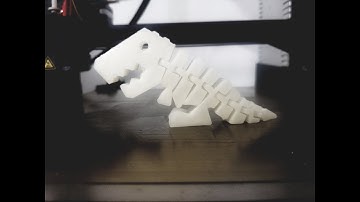 Ender 3 Time Lapse-Flexi Rex