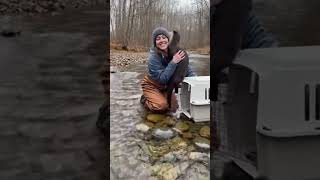This Otter’s Goodbye Hug Will Melt Your Heart! 🦦🥺