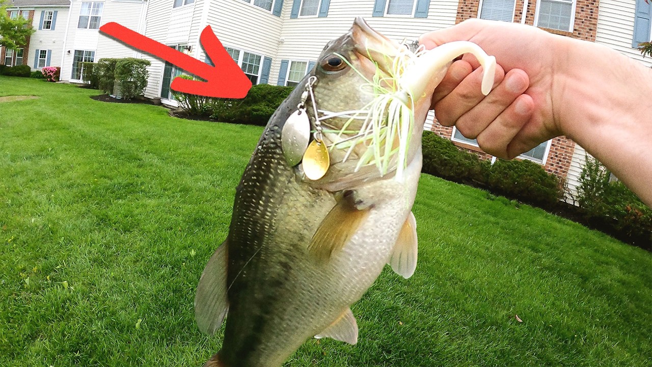 Do THIS To Catch HUGE Cold Water Bass | Kids Love Fishing