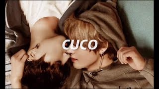 CUCO- LO QUE SIENTO *Vkook* (Sub español)