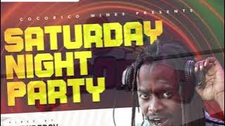 Gig Vlog 04/12/2021 Saturday Night Party at Cocorico Wines
