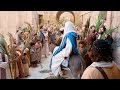 Reflections on Palm Sunday 2017