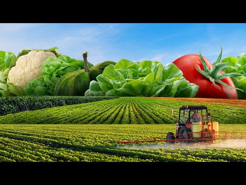 Reshaping agriculture: How to fight climate change with farming | The University of British Columbia
